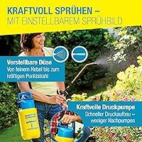 Gloria prima 3 — Bild 5