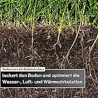 Greenyp Rasenkalk 30 kg — Bild 7